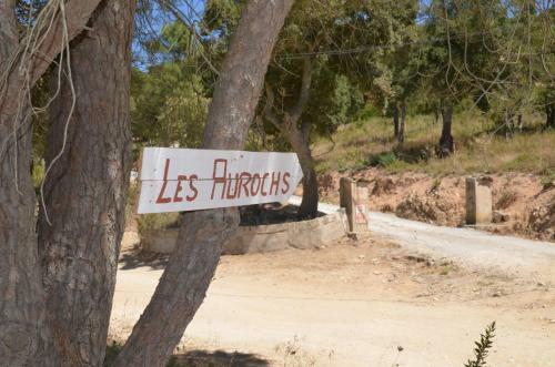 Bed & Breakfast Les Aurochs