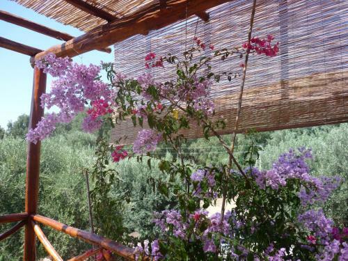 Bed & Breakfast Rocca Del Vento