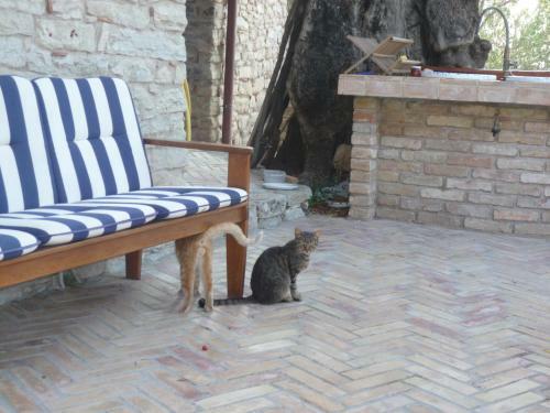 Bed & Breakfast Rocca Del Vento