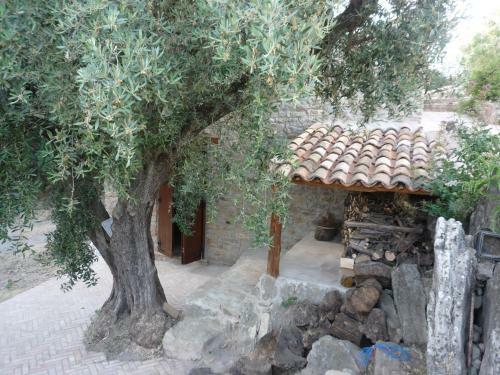 Bed & Breakfast Rocca Del Vento