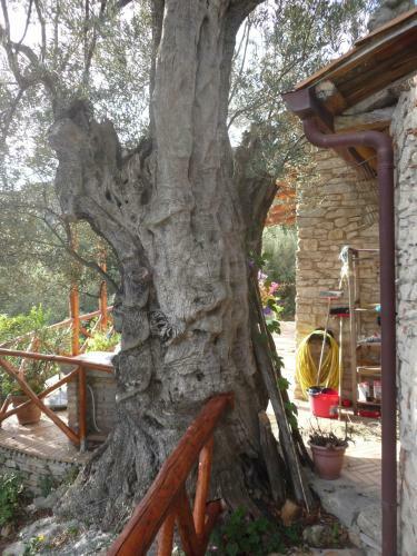 Bed & Breakfast Rocca Del Vento