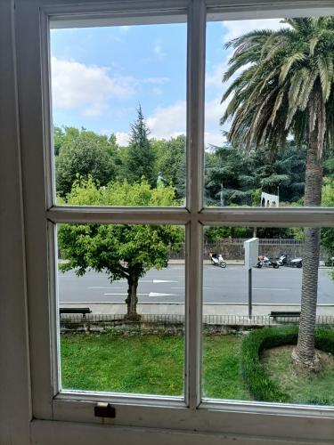 Apartamento Bico De Pedra