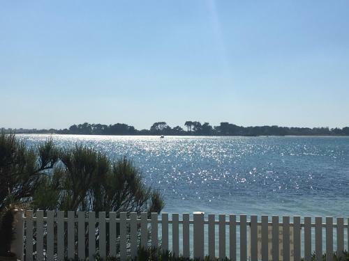Maison Les Pieds Dans L Eau