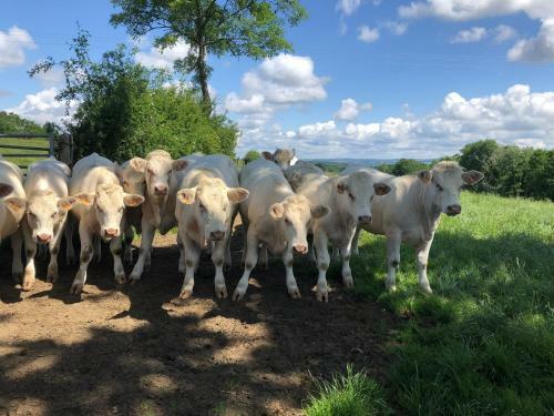 Le Charme � La Campagne