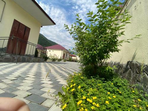 Apartamento Alp Hotel