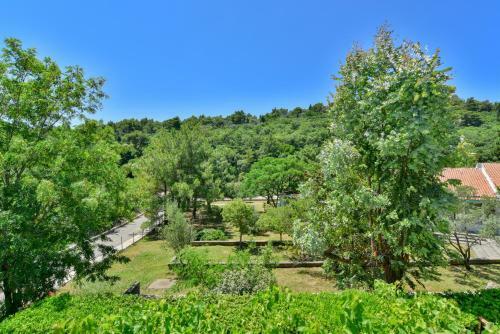 Hostal Radevic Apartments