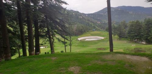 Bed & Breakfast Bhavik Palace