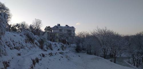 Bed & Breakfast Bhavik Palace