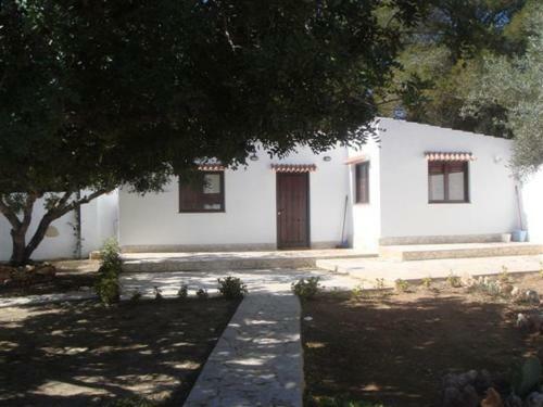 Masia