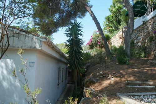 Villa Acacia