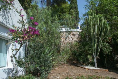 Villa Acacia