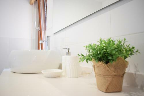 Apartamento Playa De Carnota - Sondelira