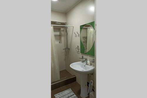Studio Apartment At Bibigon, C1. Great Location, Real Photos.