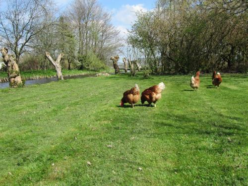 Bed&brood De Straverdonk