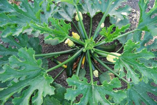 Bed&brood De Straverdonk
