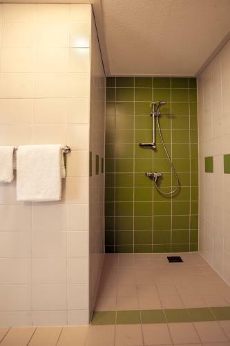 Apartamento Hoeve Springendal