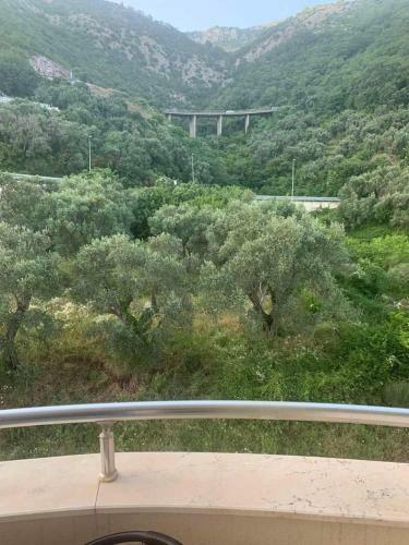 Olive Grove Apartment
