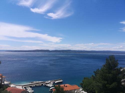 Apartment View