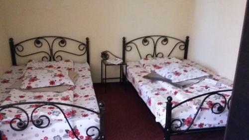 Hostal Pensiunea Lacul Albesti