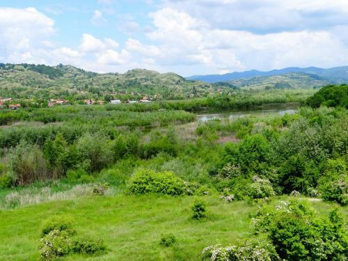 Hostal Pensiunea Lacul Albesti