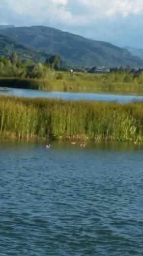 Hostal Pensiunea Lacul Albesti