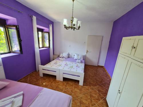 Apartment Dragone