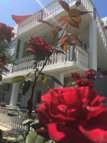 Kollari Apartments