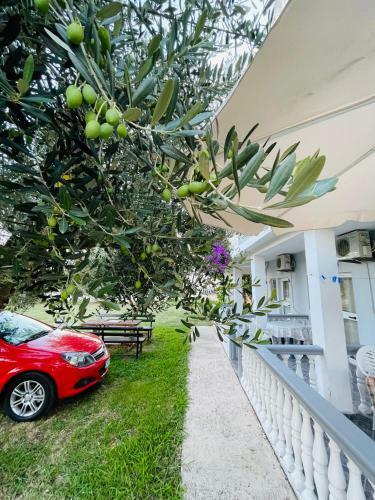 Kollari Apartments