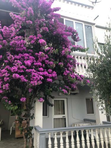 Kollari Apartments