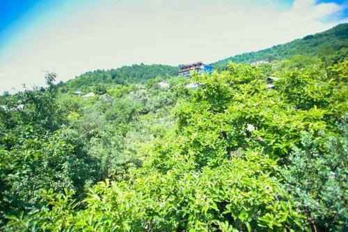 Hostal Mila Guest House