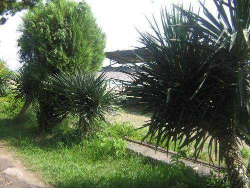 Hostal Mila Guest House