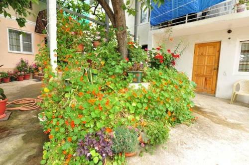 Hostal Mila Guest House