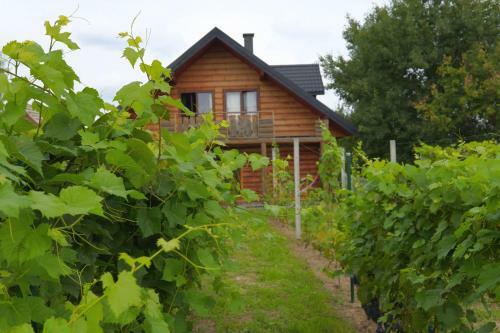 Agroturismo Dom Pachnacy Zywica