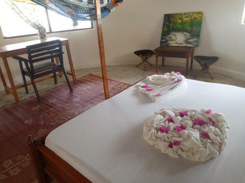 Hotel Funky Squids Beach Resort