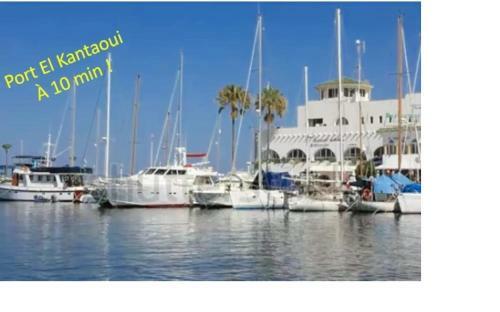 Apartamento Apparts Mt