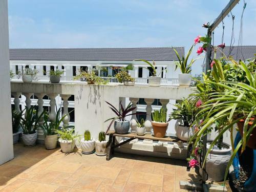 Central Hue Homestay