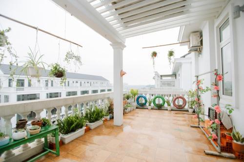 Central Hue Homestay