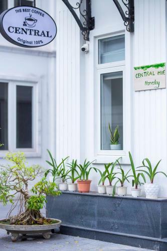 Central Hue Homestay