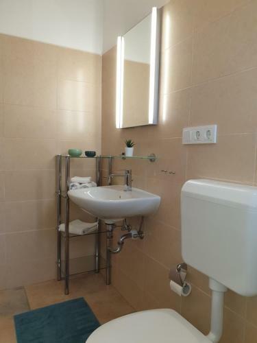 Room Suha Punta