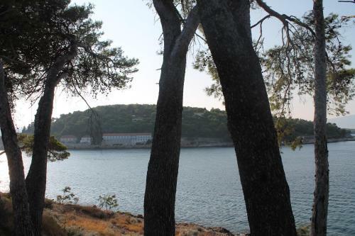 Apartamentos Covahouse