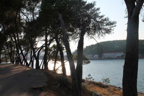 Apartamentos Covahouse