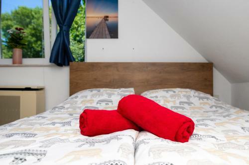 Orgonavir�g Apartman
