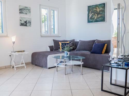 Apartment Branka