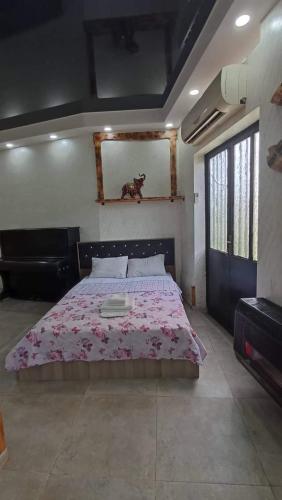 Hostal Capital House 26a