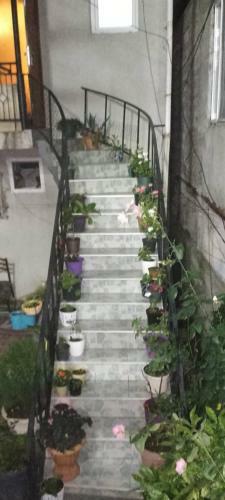 Apartamento House Omari