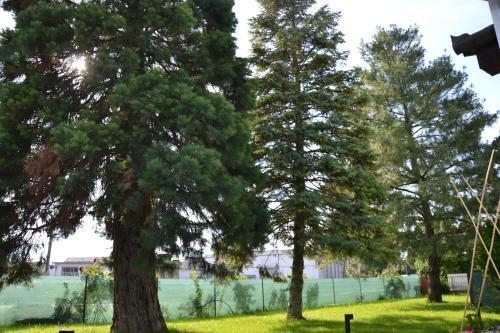 Akvamarin Apartman