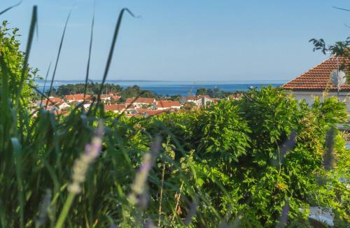 Apartamento Elegance