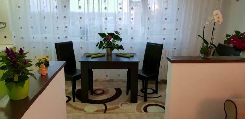 Happy Flowers Apartament