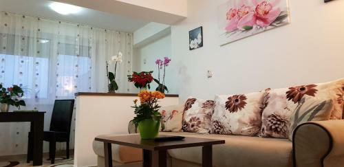 Happy Flowers Apartament