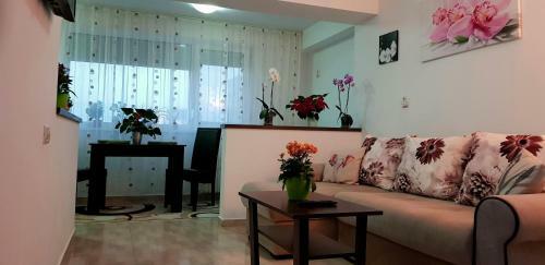 Happy Flowers Apartament